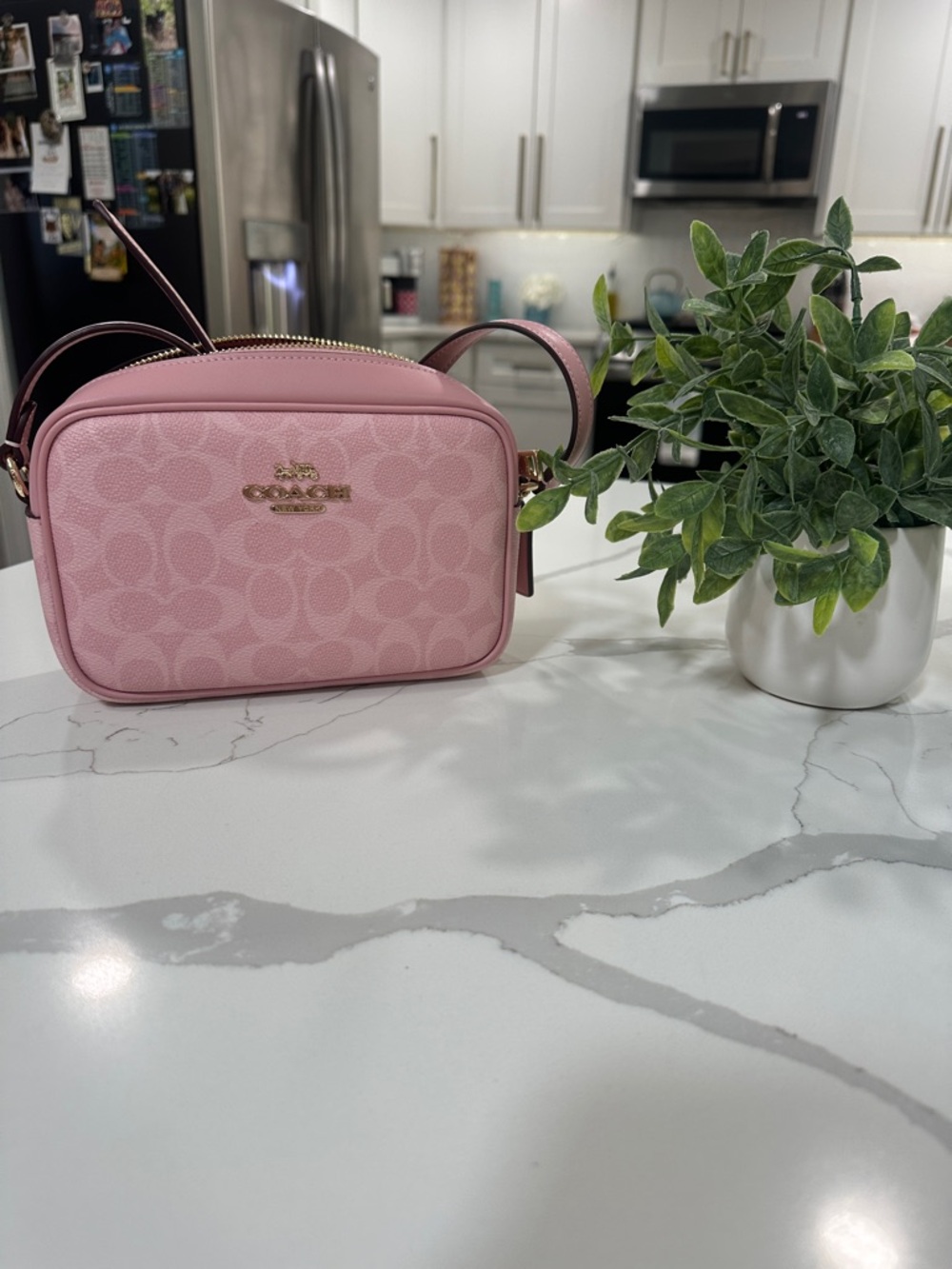 Coach Pink Signature Camera Crossbody